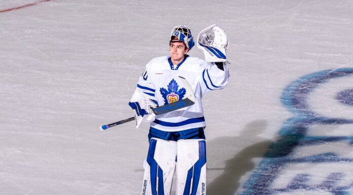 Artur Akhtyamov, Toronto Marlies