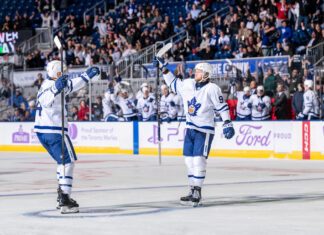 William Nylander, Toronto Marlies