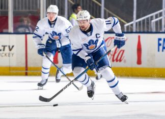 Logan Shaw, Toronto Marlies