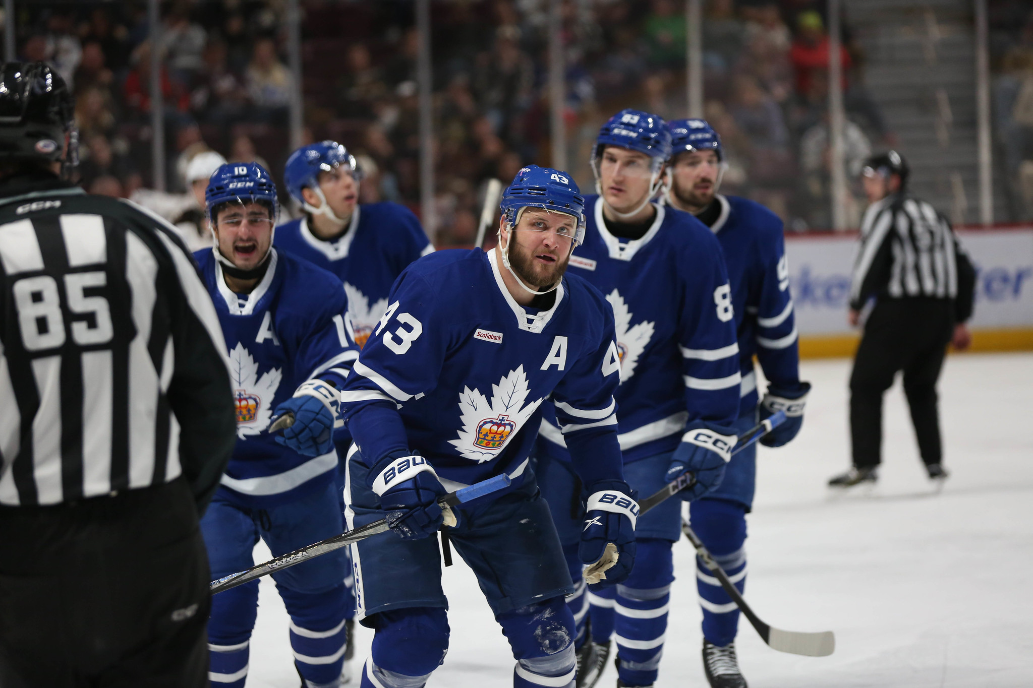 Kyle Clifford, Toronto Marlies