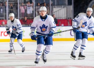 Nikita Grebenkin, Toronto Marlies