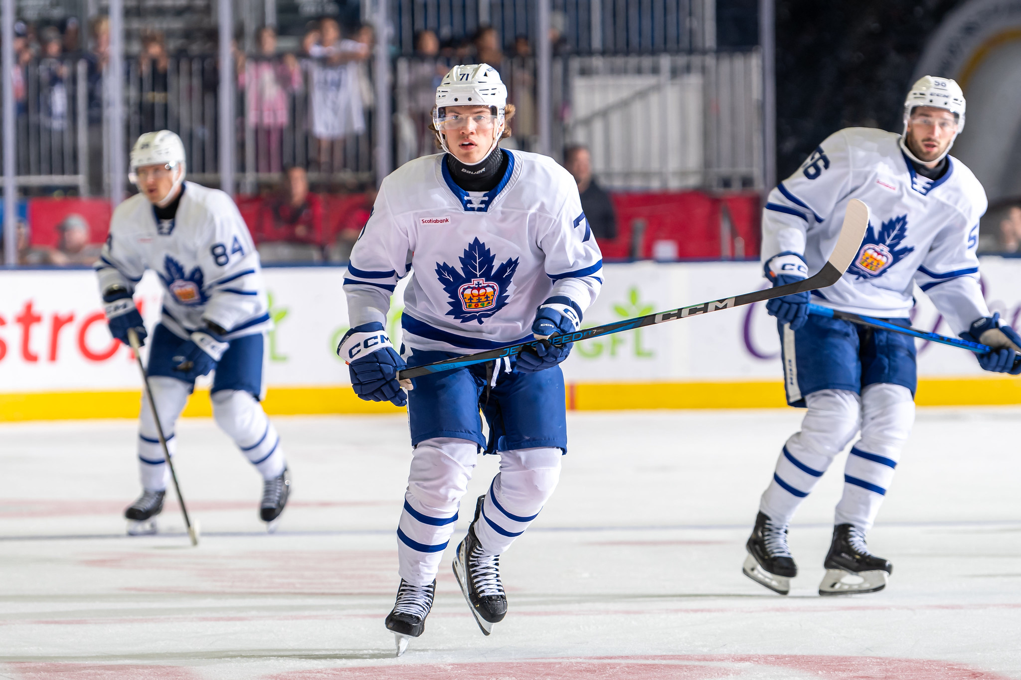 Nikita Grebenkin, Toronto Marlies