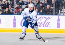 Nikita Grebenkin, Toronto Marlies