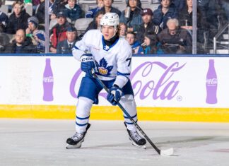 Nikita Grebenkin, Toronto Marlies