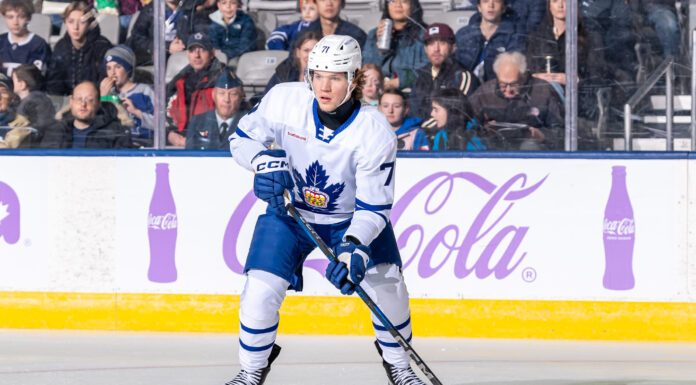 Nikita Grebenkin, Toronto Marlies