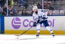 Alex Nylander, Marlies vs. Monsters