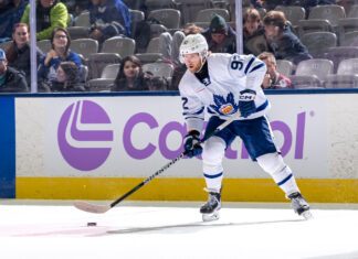 Alex Nylander, Marlies vs. Monsters