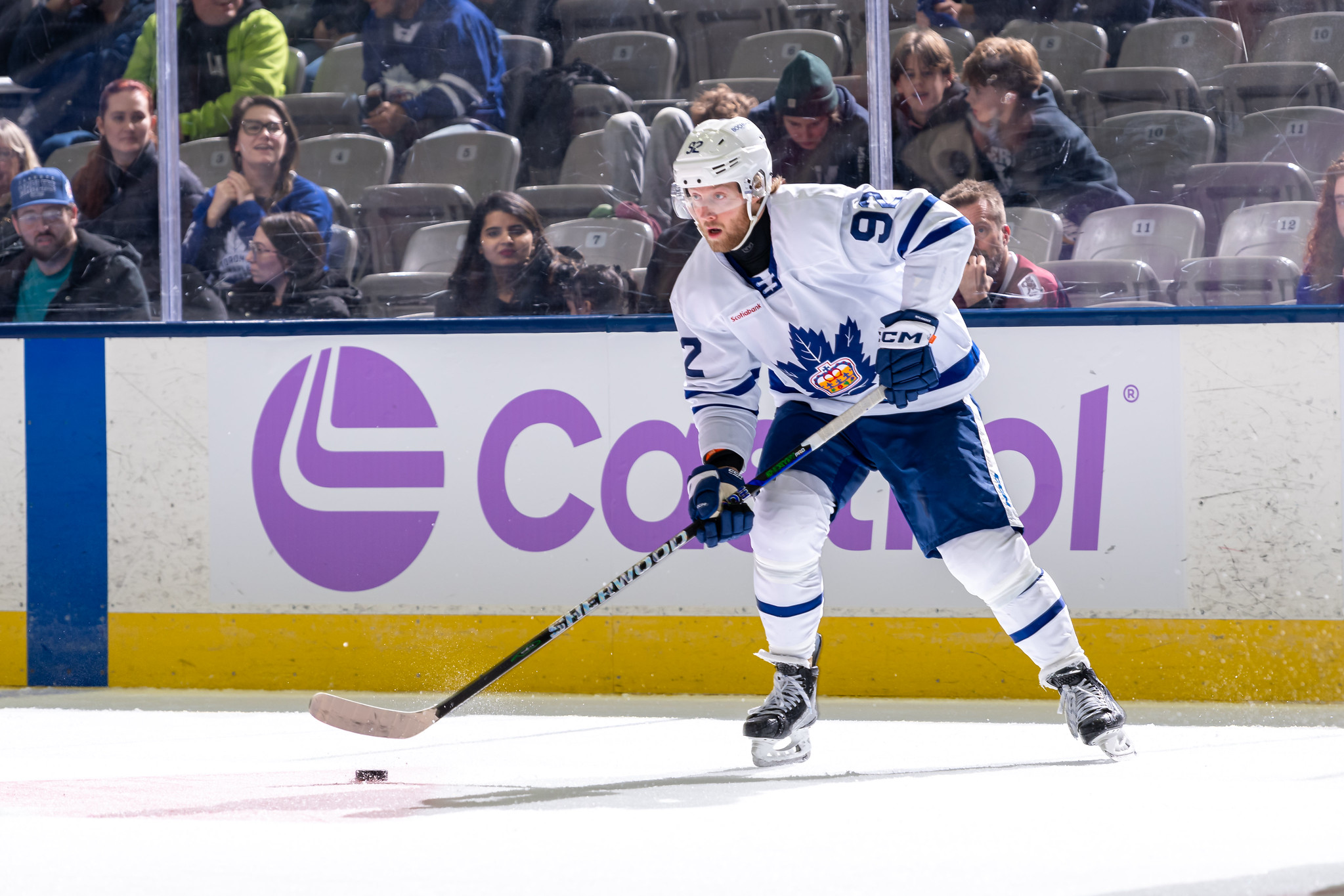 Alex Nylander, Marlies vs. Monsters