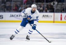 Cédric Paré, Toronto Marlies