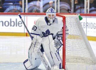 Vyacheslav Peksa, Toronto Marlies