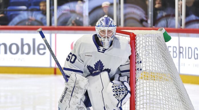 Vyacheslav Peksa, Toronto Marlies