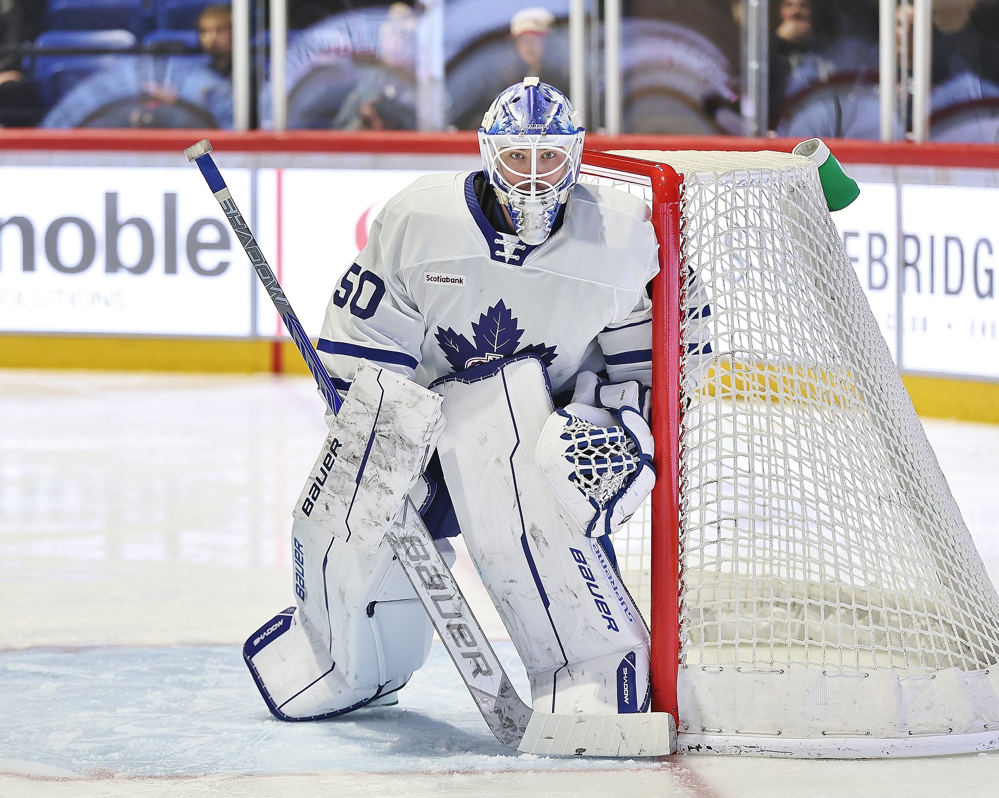 Vyacheslav Peksa, Toronto Marlies