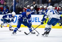 Fraser Minten, Toronto Marlies