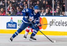 Fraser Minten, Toronto Marlies