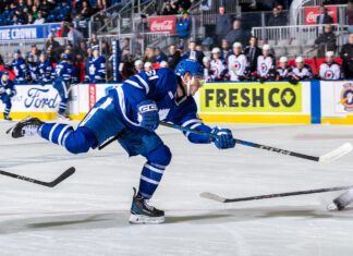 Jaocb Quillan, Toronto Marlies