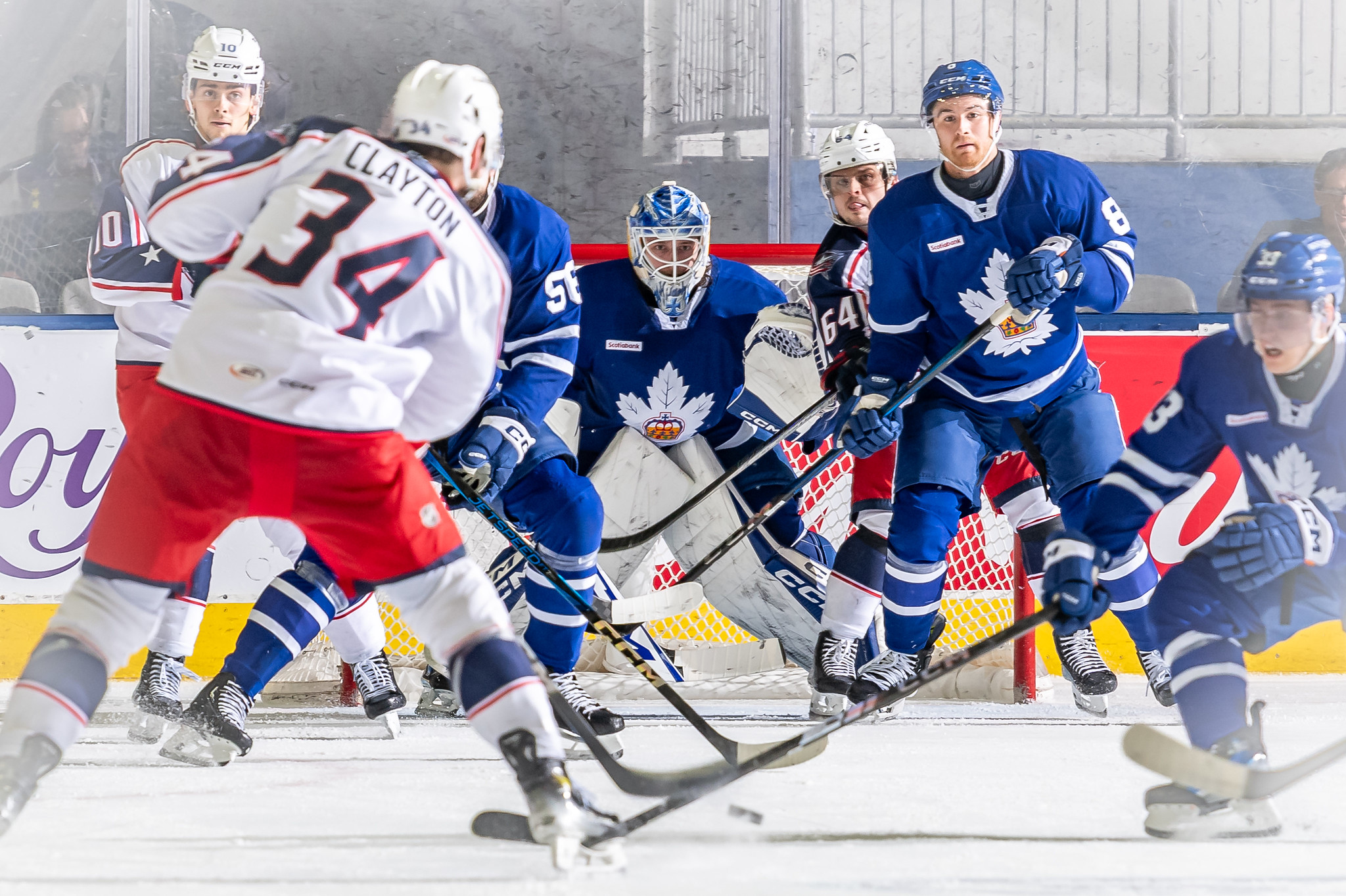 Toronto Marlies vs. Cleveland Monsters