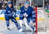 Dennis Hildeby, William Villeneuve, Toronto Marlies