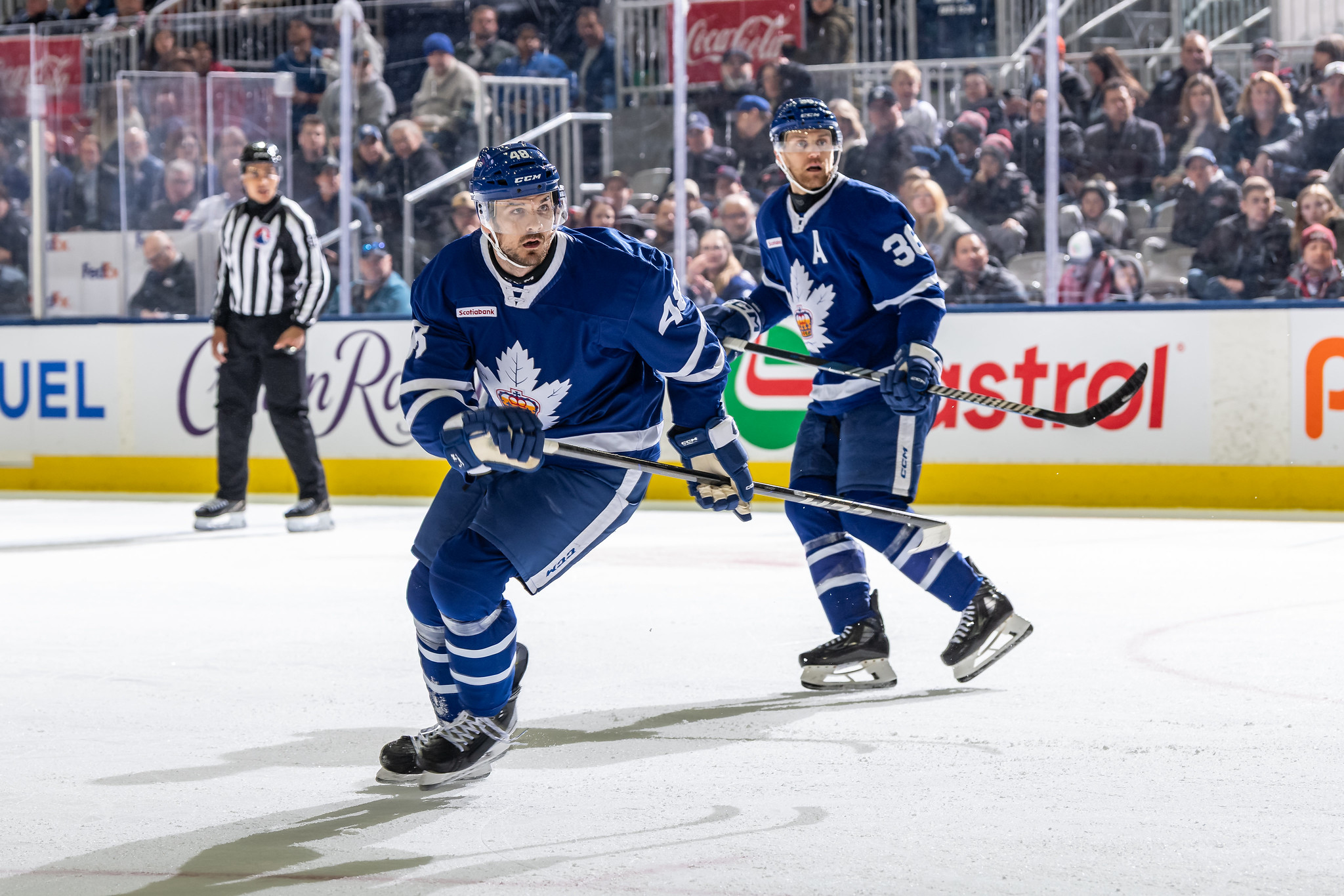 Brandon Baddock, Toronto Marlies