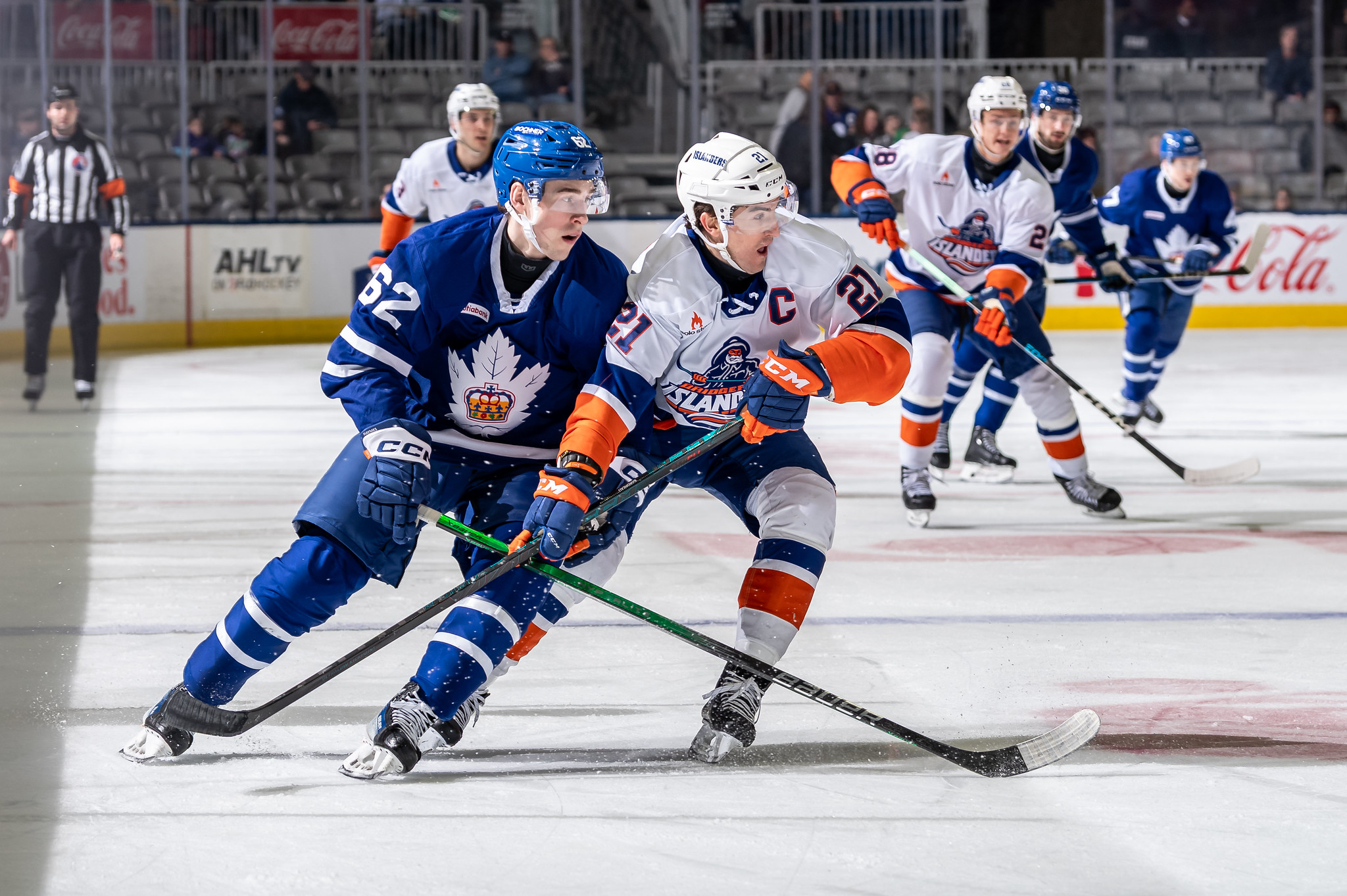 Luke Haymes, Toronto Marlies