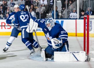 Matt Murray, Toronto Marlies