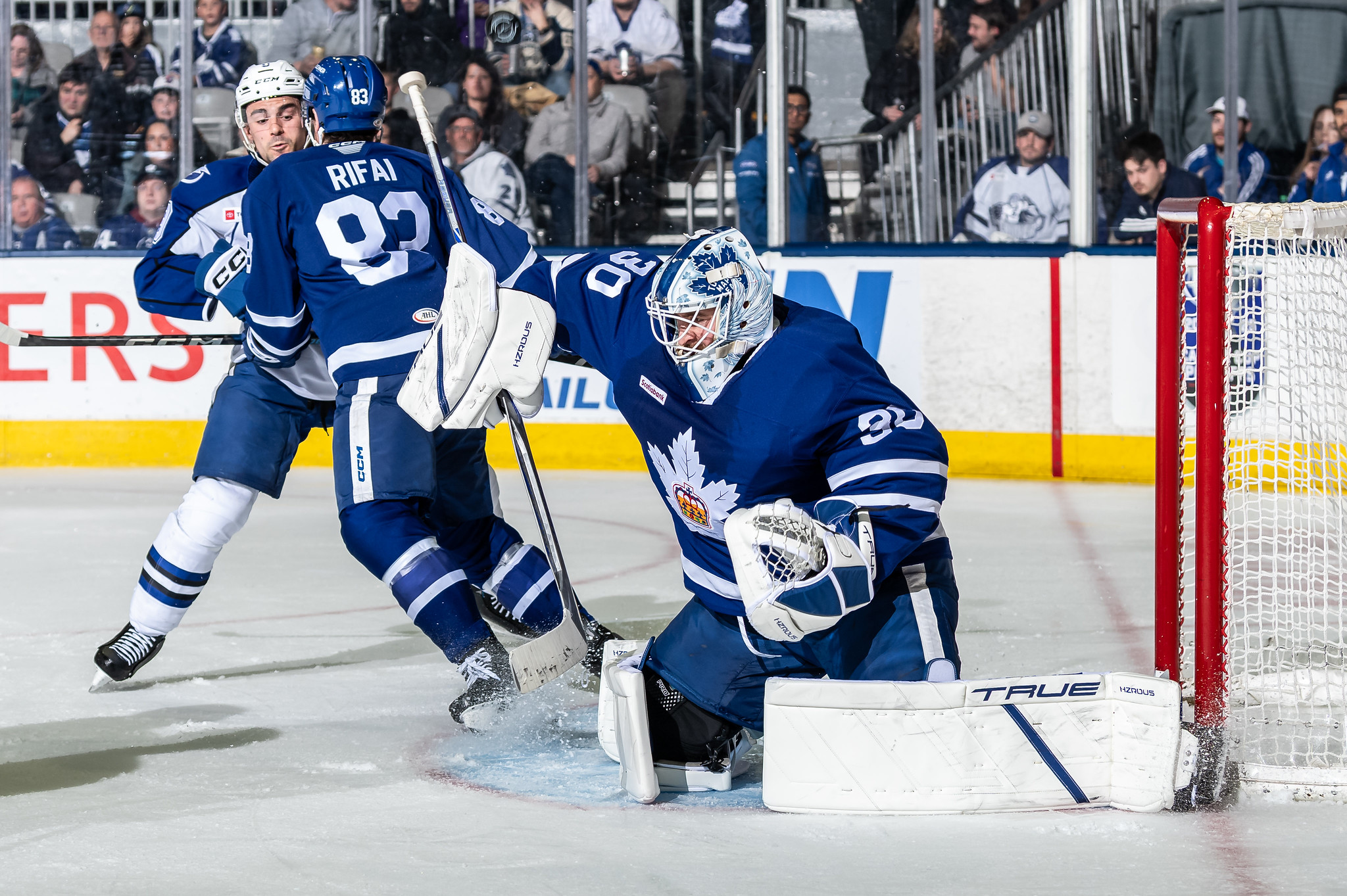 Matt Murray, Toronto Marlies