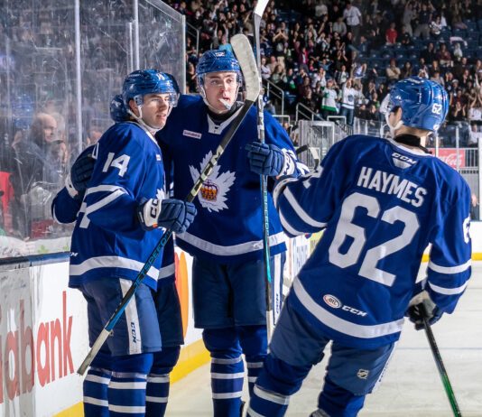 Luke Haymes, Toronto Marlies
