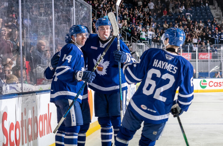 Luke Haymes, Toronto Marlies