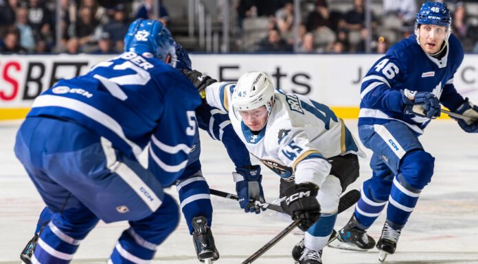 Toronto Marlies vs. Cleveland Monsters