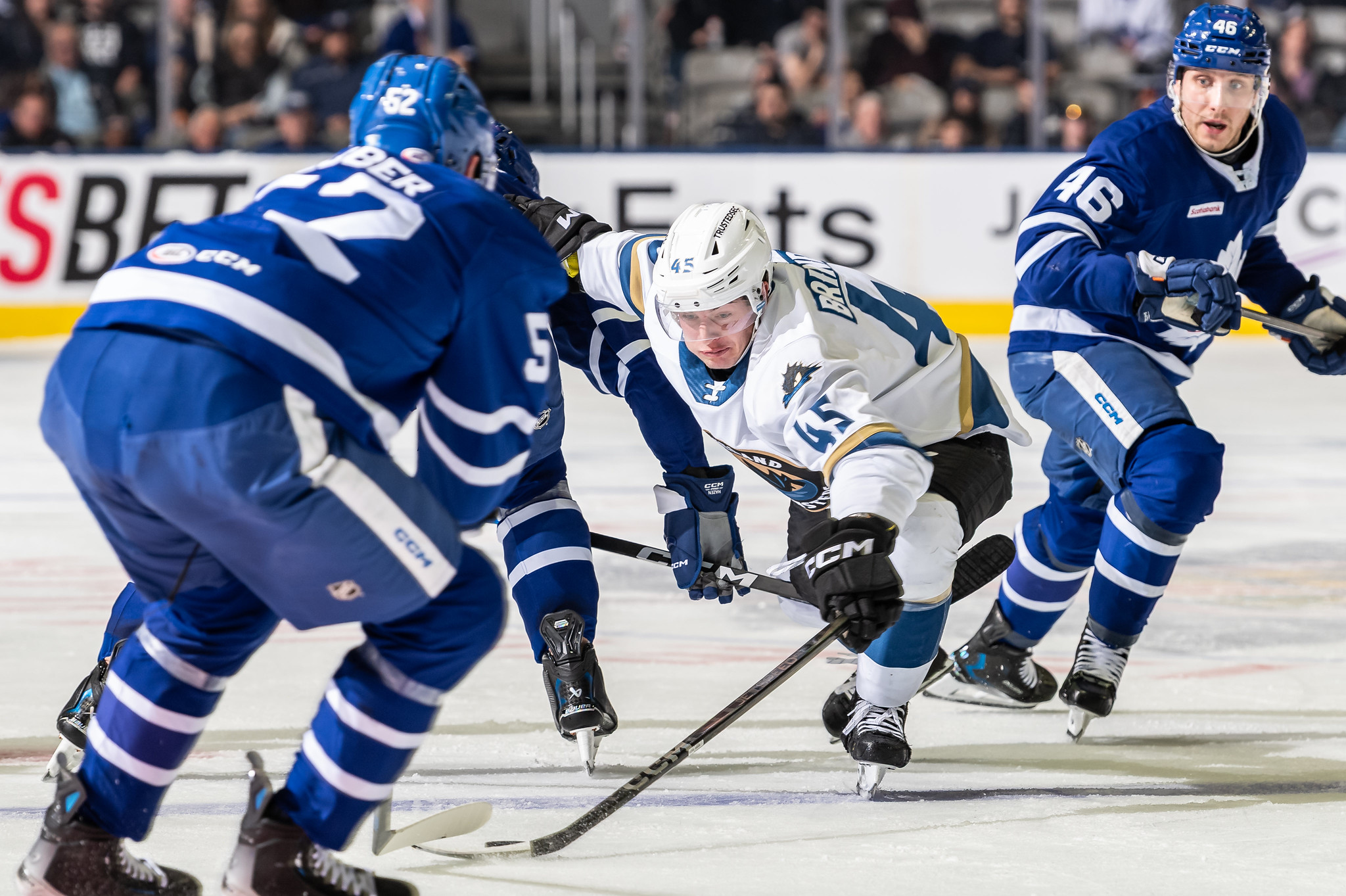 Toronto Marlies vs. Cleveland Monsters