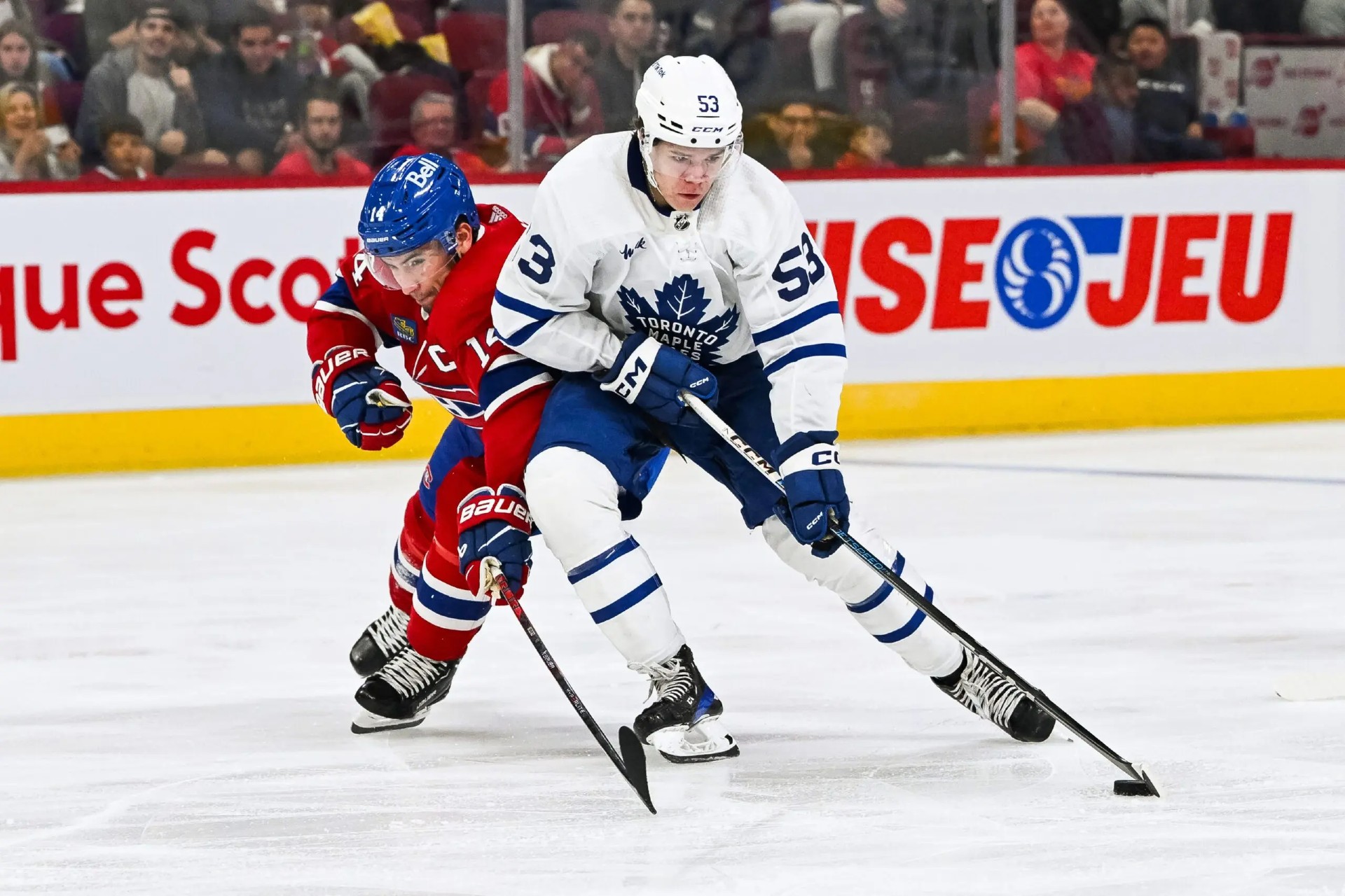 How should the Maple Leafs manage Easton Cowan to start the season?