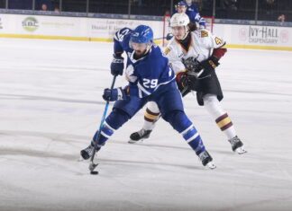 Bo Groulx, Toronto Marlies