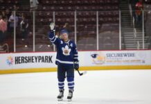 Travis Boyd, Marlies vs. Bears