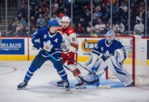 Toronto Marlies slip to third consecutive defeat after another slow start in Grand Rapids Vyacheslav Peksa, Toronto Marlies