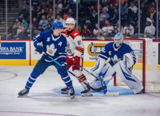 Vyacheslav Peksa, Toronto Marlies
