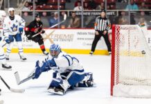 Artur Akhtyamov, Toronto Marlies