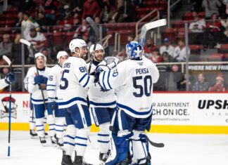 Vyacheslav Peksa, Toronto Marlies