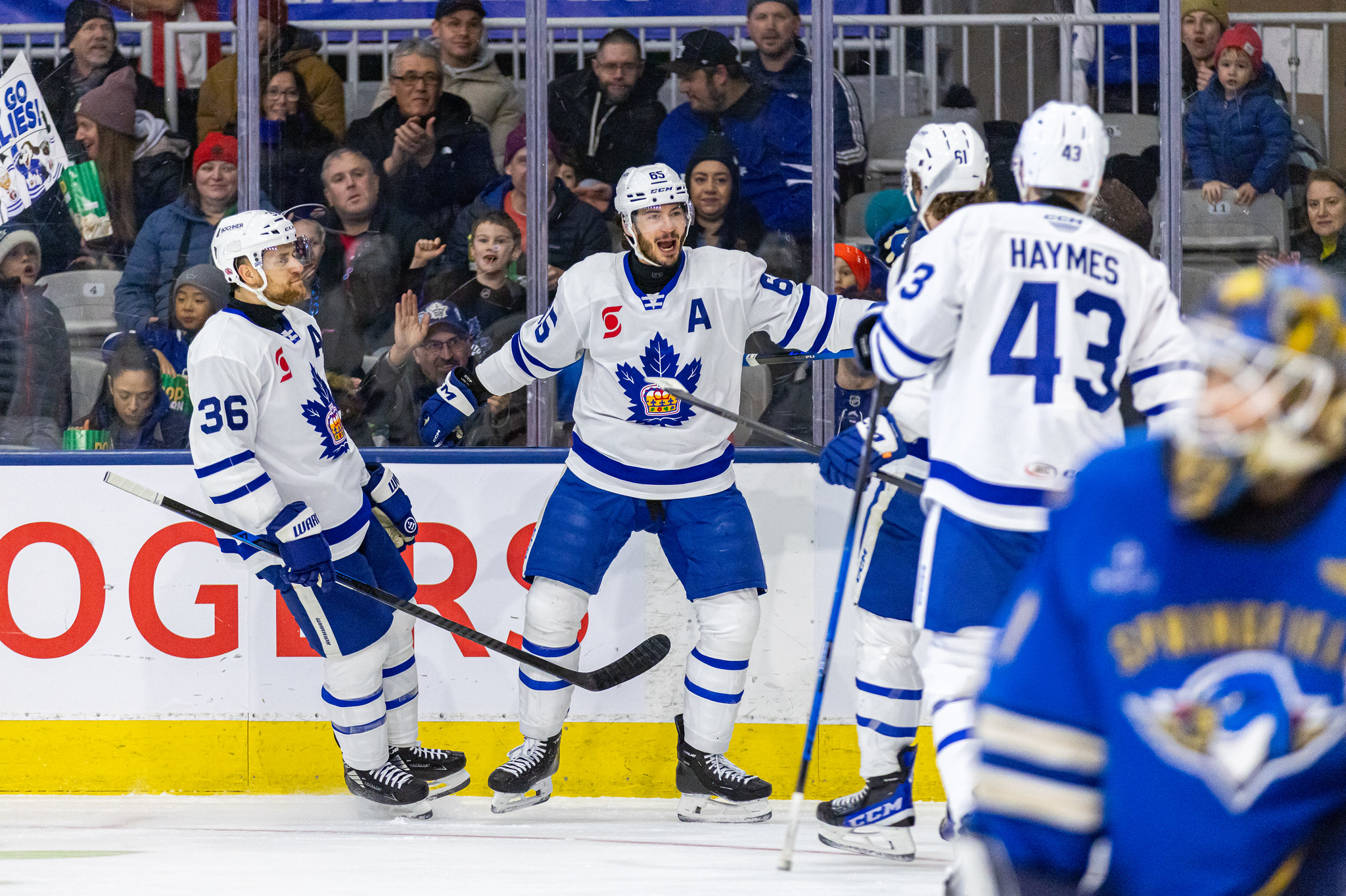 Toronto Marlies enter the All-Star break after a line brawl and a big victory over Springfield