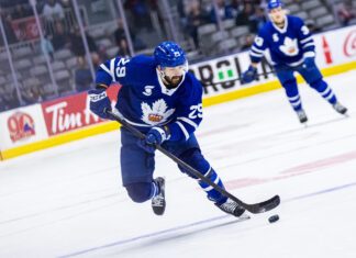 Bo Groulx, Toronto Marlies