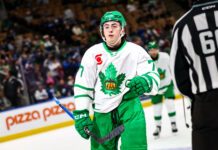 Ryan Tverberg, Toronto Marlies