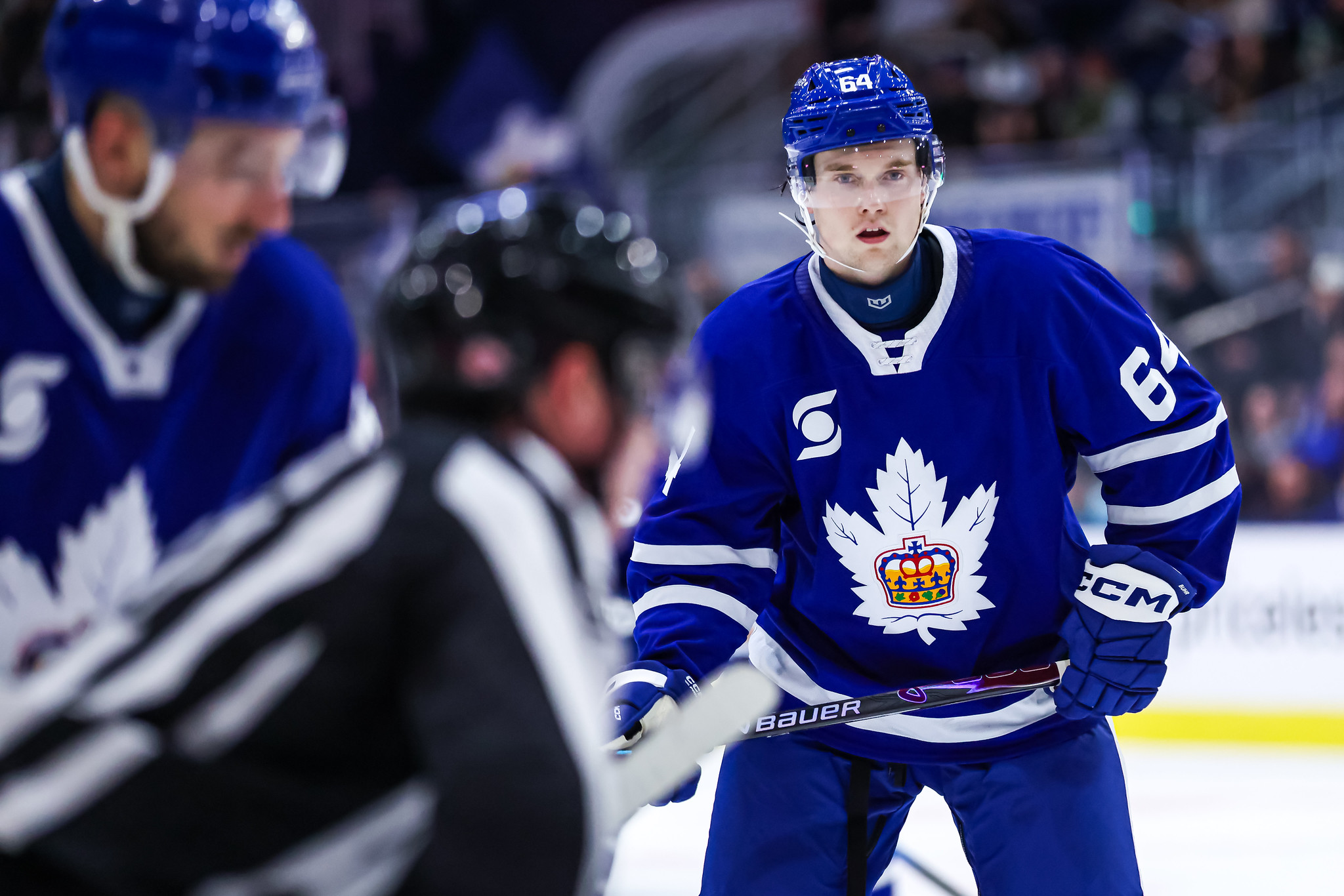 Brandon Buhr, Toronto Marlies