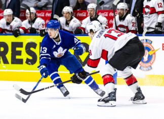 Luke Haymes, Toronto Malries