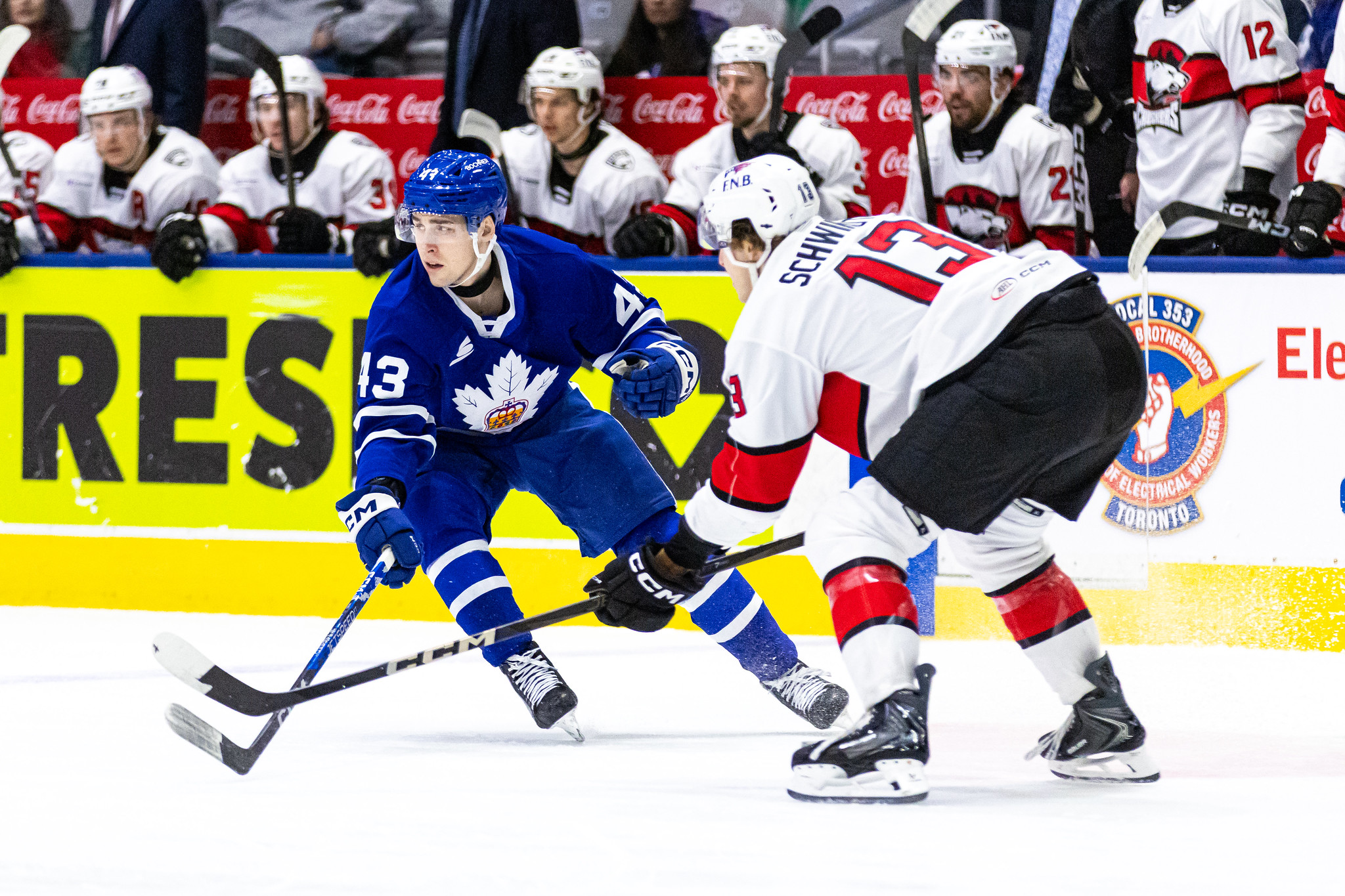 Luke Haymes scores 17th of the season, Toronto Marlies suffer third consecutive loss vs. Charlotte