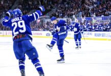Ryan Tverberg, Toronto Marlies