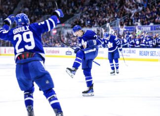 Ryan Tverberg, Toronto Marlies