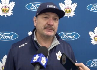 John Gruden, Toronto Marlies head coach