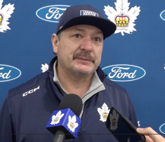 John Gruden, Toronto Marlies head coach