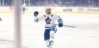 Ben Danford, Toronto Marlies playoff goal