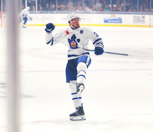 Ben Danford, Toronto Marlies playoff goal