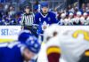 Maple Leafs recall Vinni Lettieri in search of more depth scoring