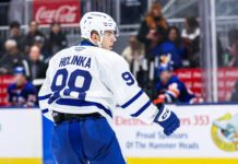 Miro Holinka, Toronto Marlies